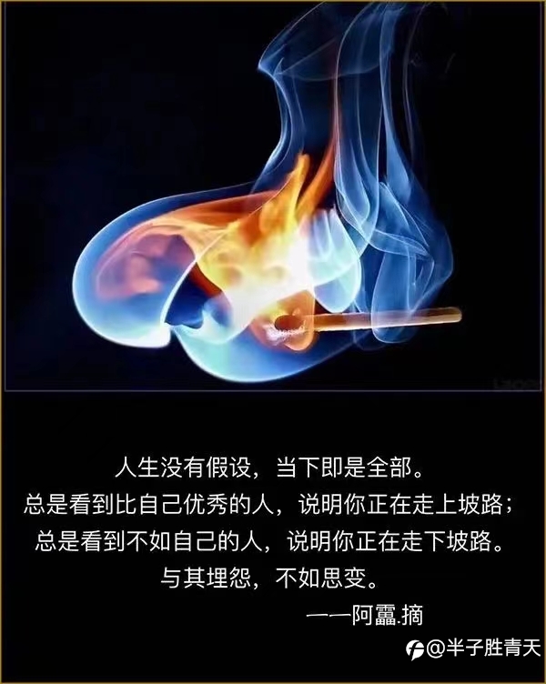 千万不能孤注一掷