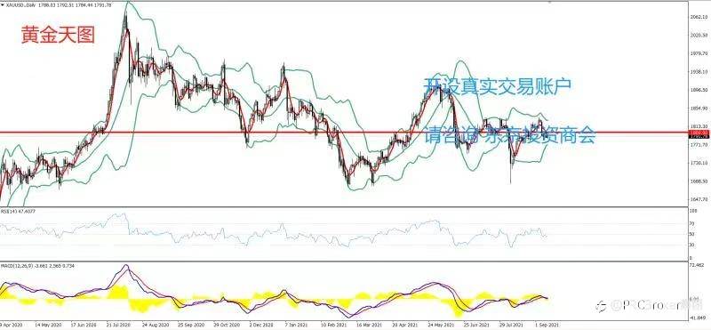 PRCBroker:20210913 今日汇评