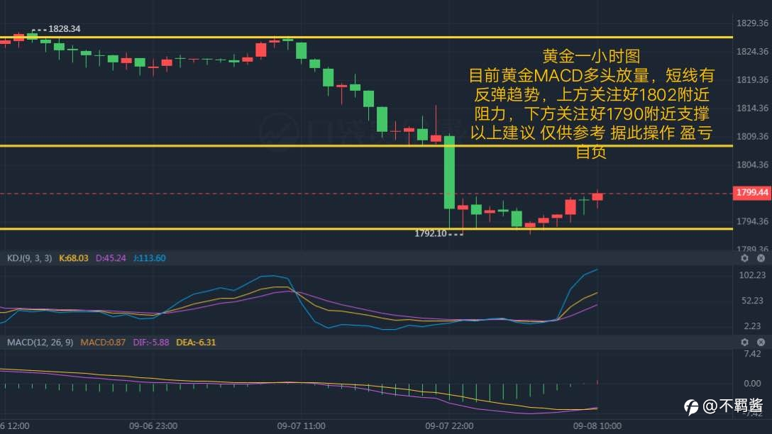 每日干货