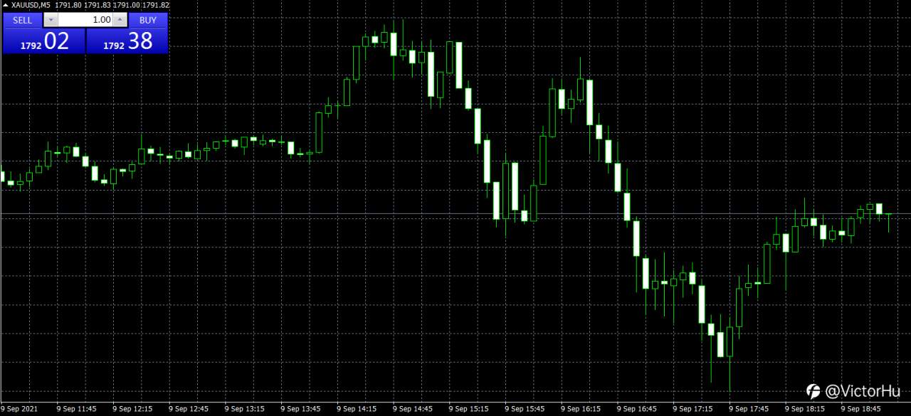 feed-image-0