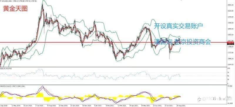 PRCBroker:20210909 今日汇评