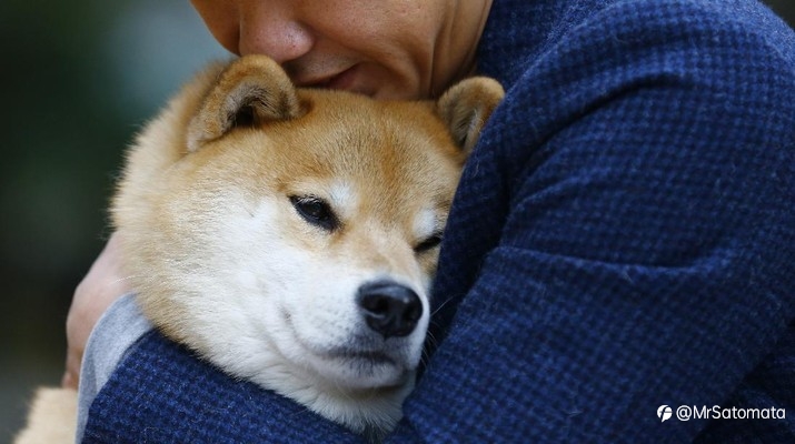 Bitcoin CS Melemah, Harga Shiba Inu Masih Tetap Meroket