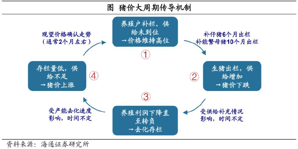 “猪周期”的机会：何时会到来？