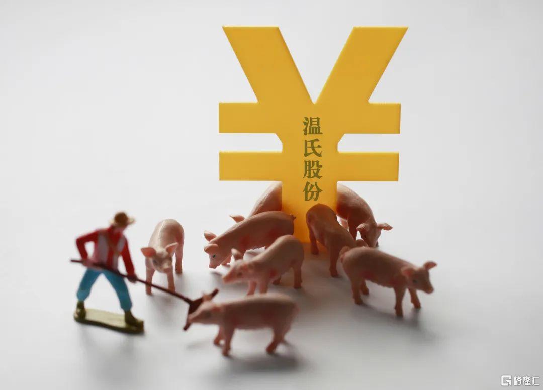 谁也逃不过猪周期