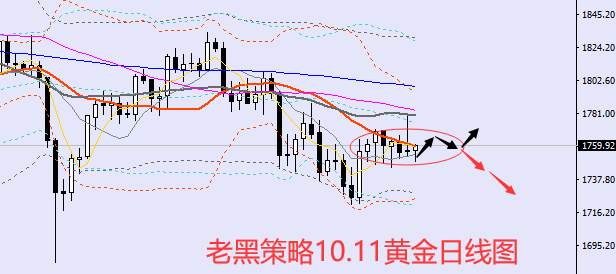 老黑策略：10.11黄金分析策略