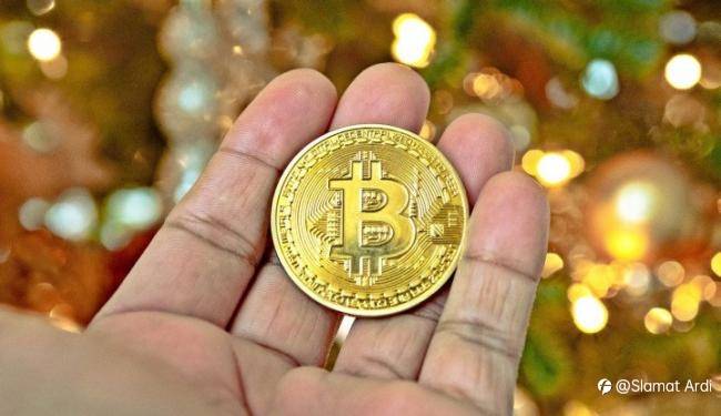 Keuntungan Bitcoin di Negara Ini Akan Dipakai Buat Bangun RS Hewan! Presiden yang Berbicara!