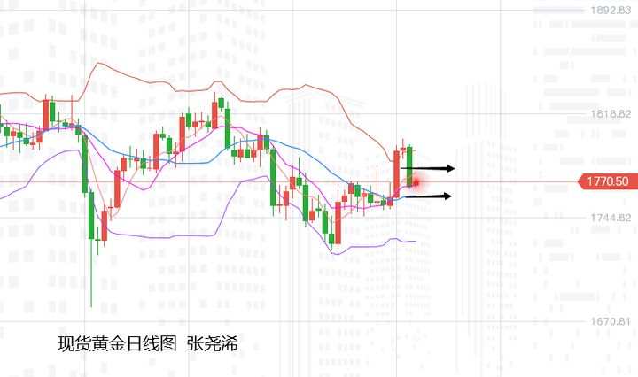 张尧浠：零售发威美股飙升、黄金遇阻回落将陷承压震荡