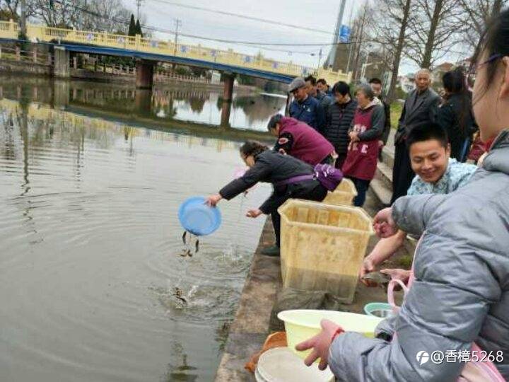 纳斯达克100指数