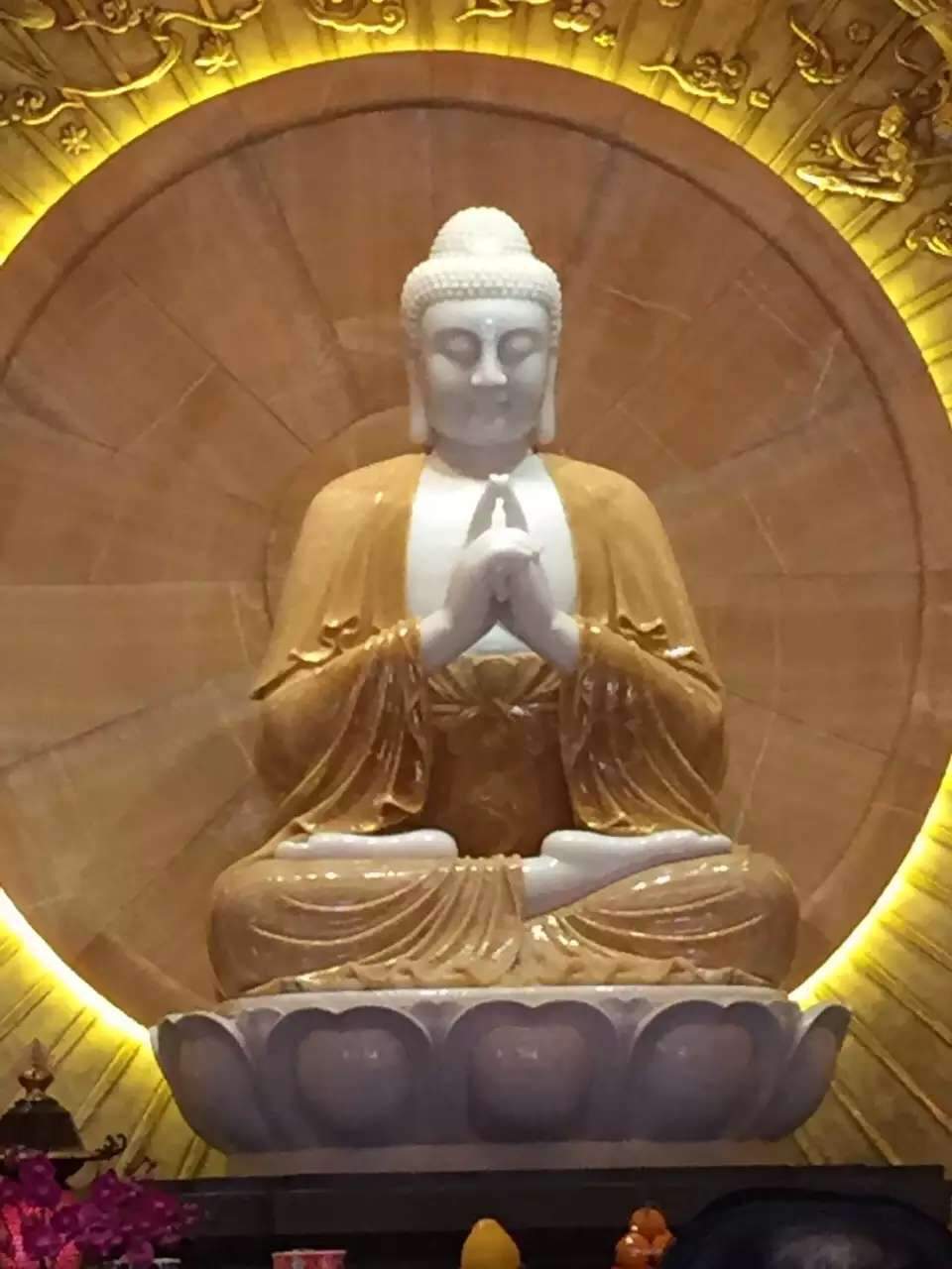 @lsjywhj 以单周盈利6万美金,再夺周盈利榜冠军!