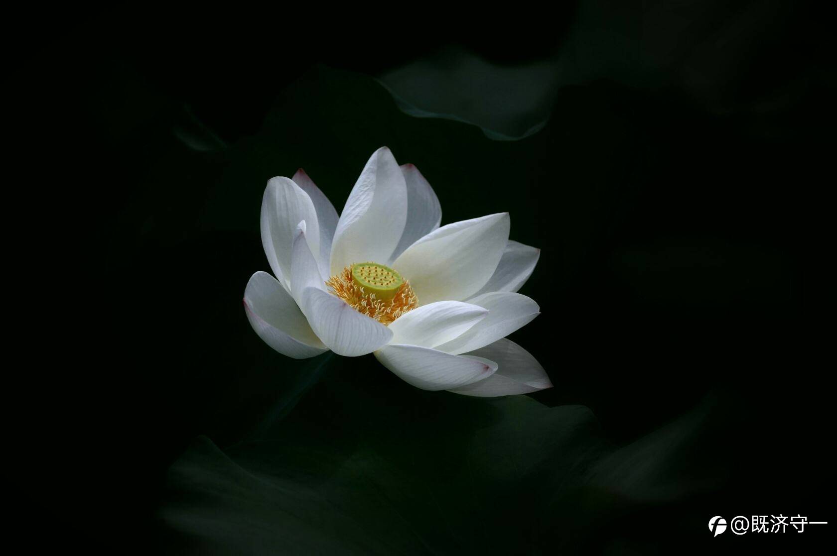 心有妄念，正是修心守正的时机