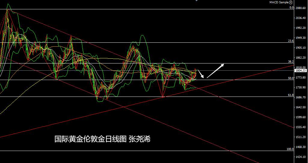 张尧浠：通胀升温再起忧虑、金价短期受压缩债长期备涨
