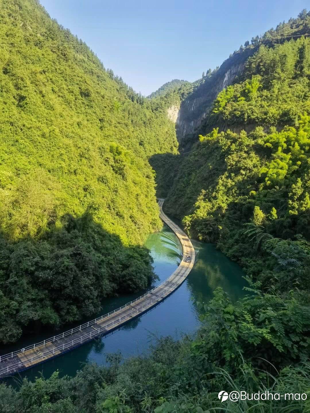 feed image