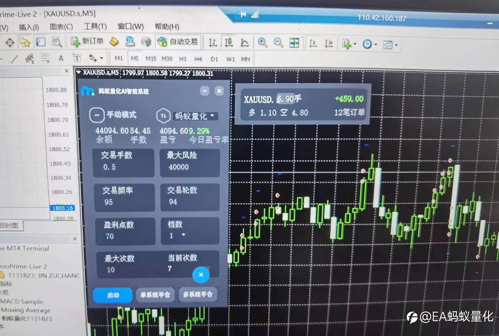 炒外汇就用蚂蚁量化