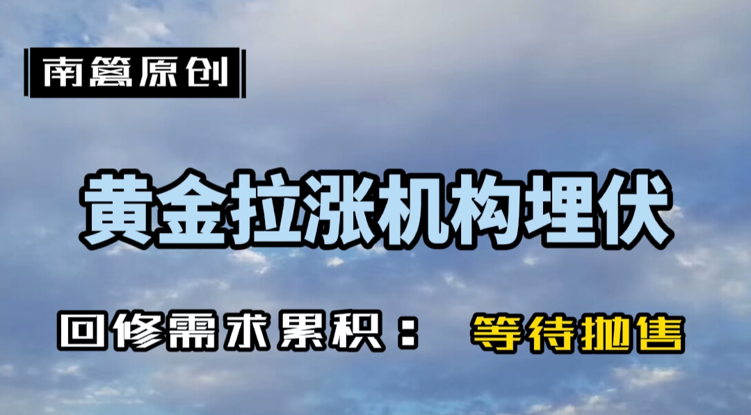 【南篱/黄金】不顾一切上涨的黄金,只是机构的布局