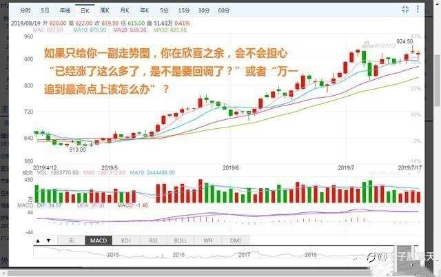 交易恐惧没有办法消除,但是可以用规则来圈养