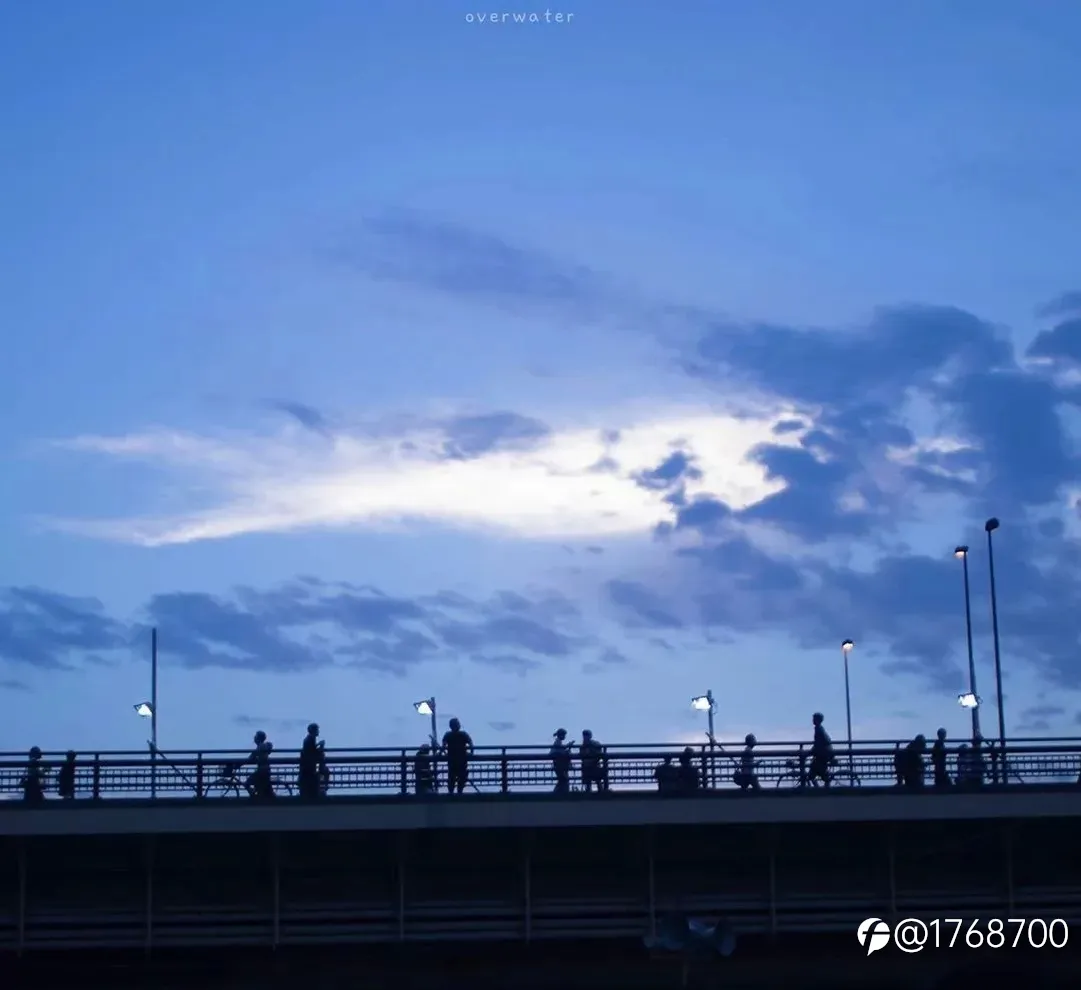 feed image