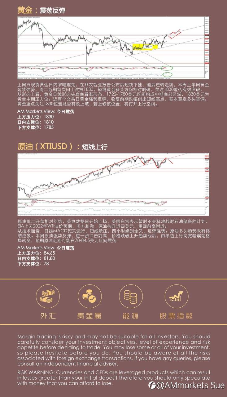 11.10AMMARKETS分析报告（非美震荡，黄金中期筑底）