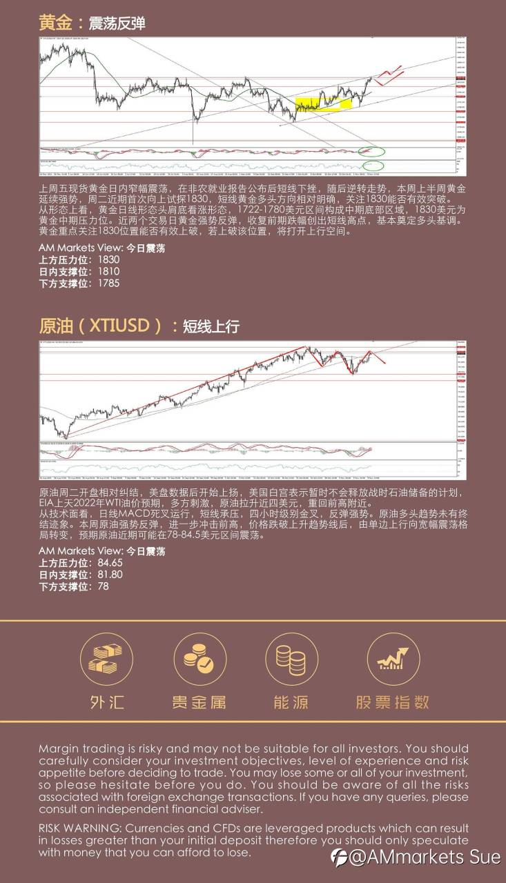 11.10AMMARKETS分析报告(非美震荡,黄金中期筑底)