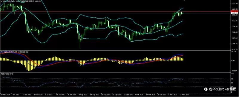 PRCBroker:20211119 今日汇评