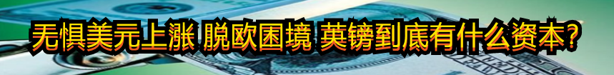 无惧美元上涨 脱欧困境 英镑到底有什么资本?