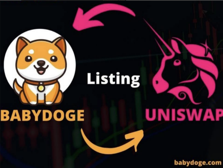 宝贝狗币(BabyDoge coin)实现跨ETH链,将在今天上线!
