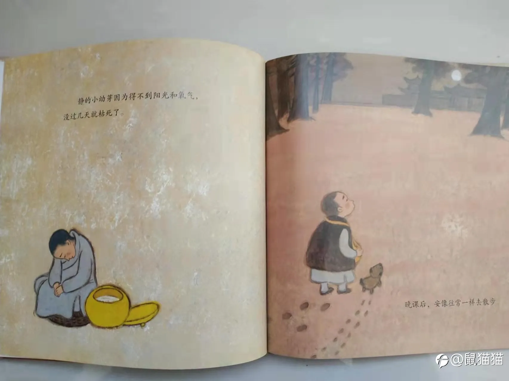 老鸟们，我们为什么一直没能起飞？