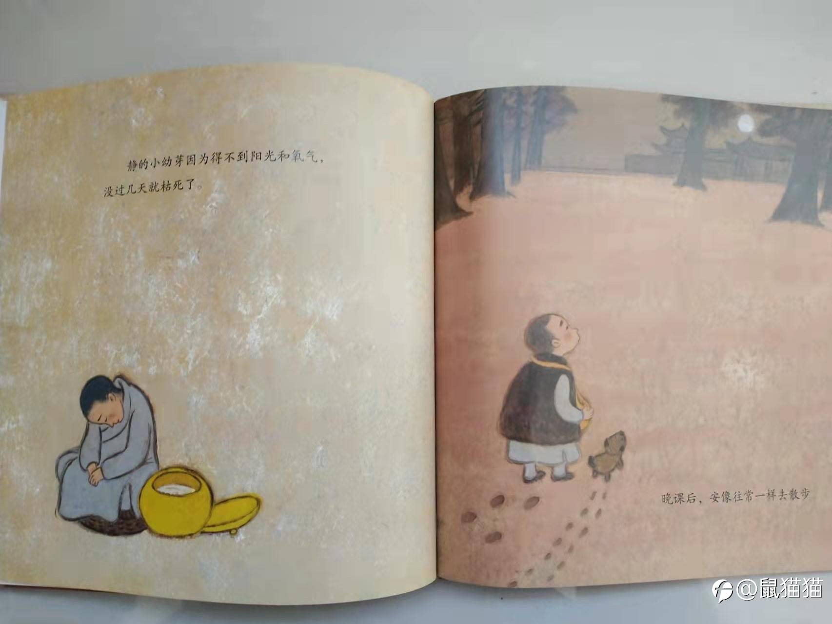 老鸟们，我们为什么一直没能起飞？