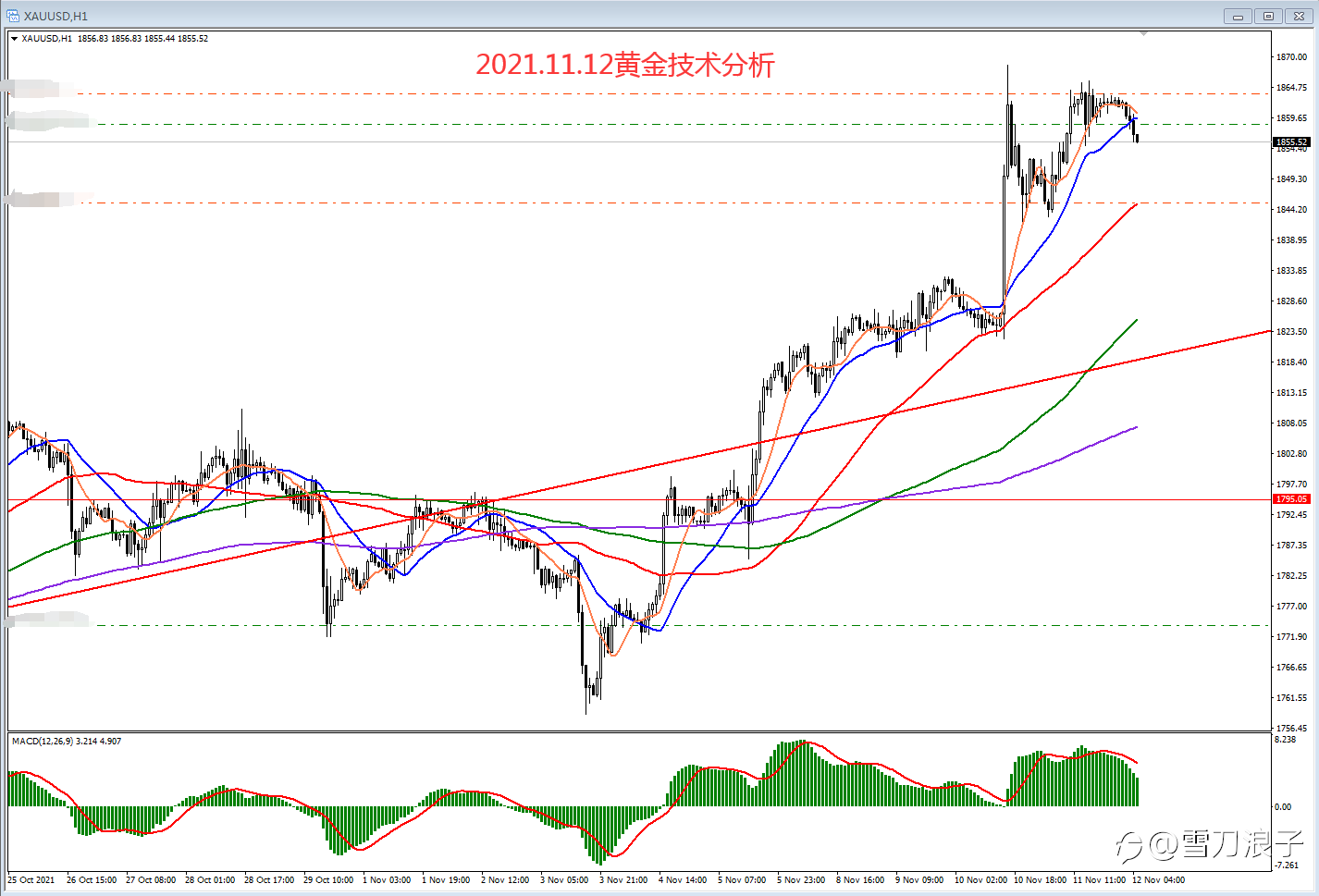 2021.11.12黄金技术分析