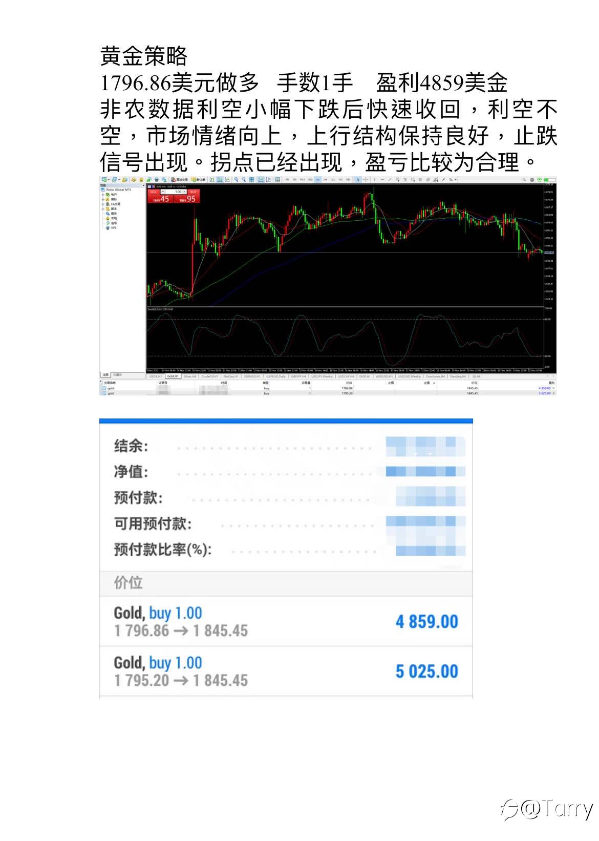 feed-image-1