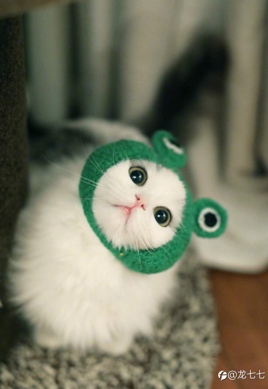 feed image