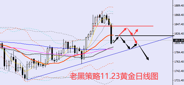 老黑策略：11.23黄金分析策略