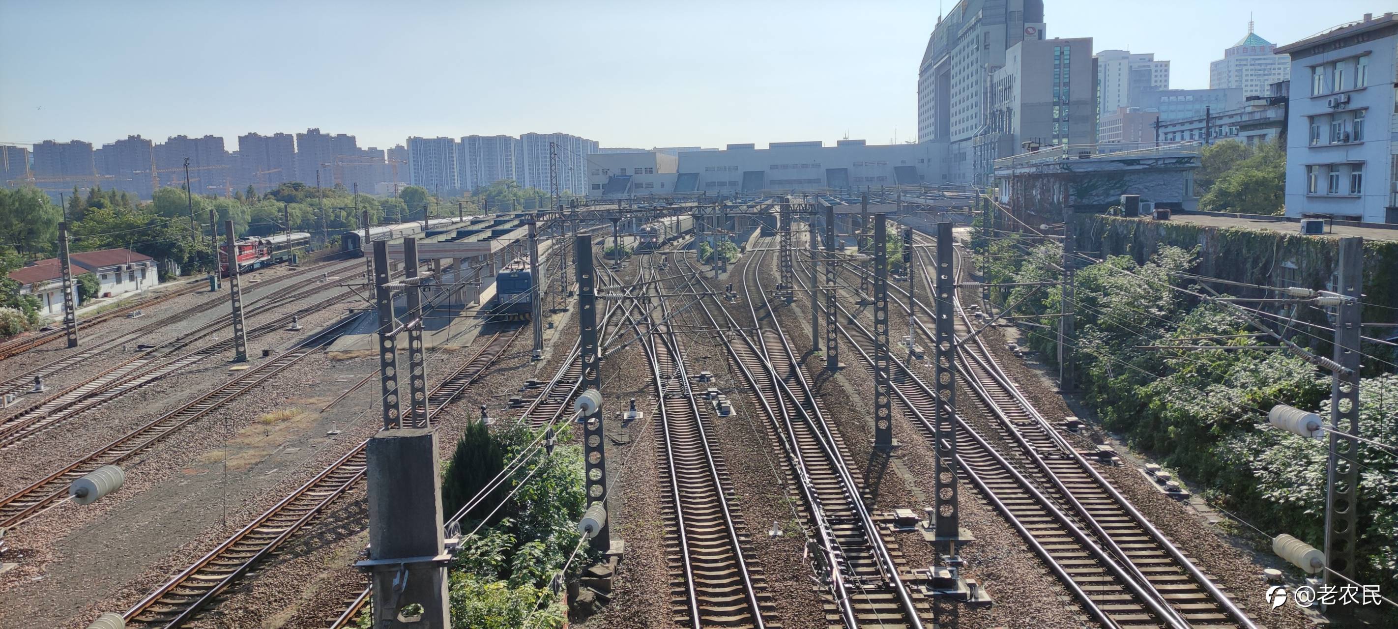 feed image