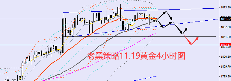 老黑策略：11.19外汇分析策略