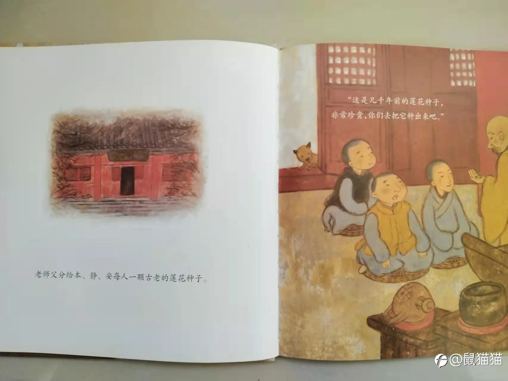 老鸟们，我们为什么一直没能起飞？