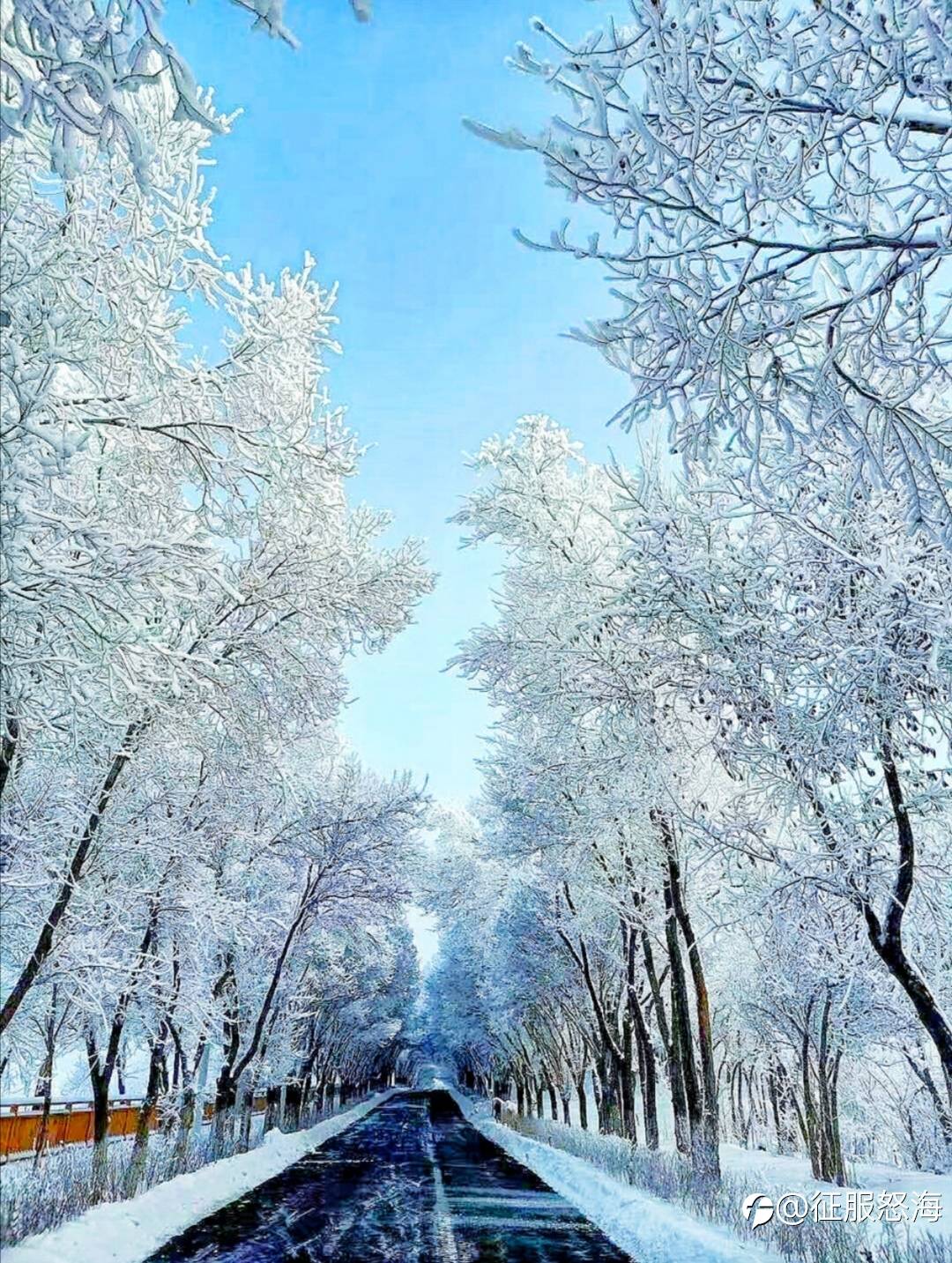 feed image