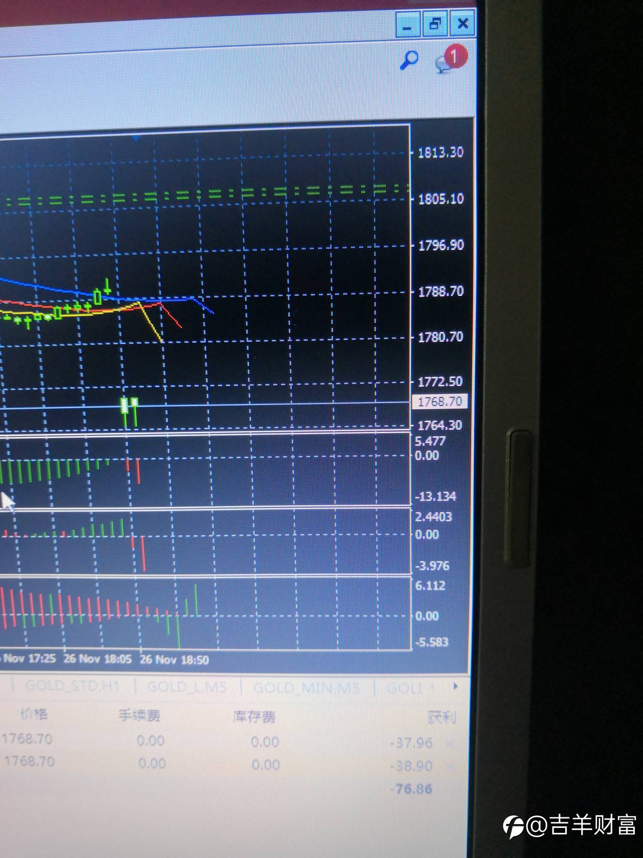 feed-image-1