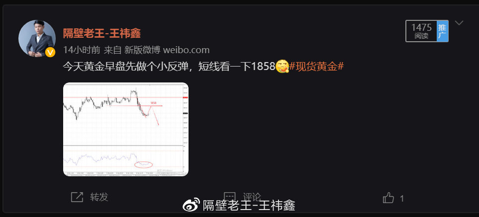 2021-11-17-日内交易总结~追踪！