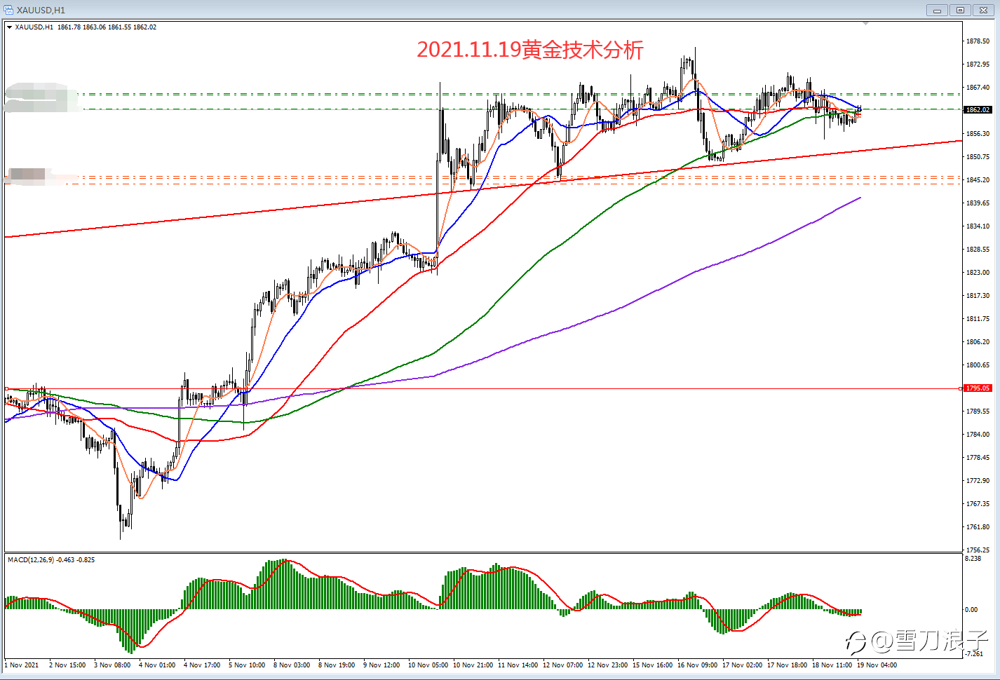 2021.11.19黄金技术分析
