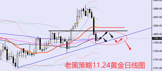 老黑策略：11.24黄金分析策略