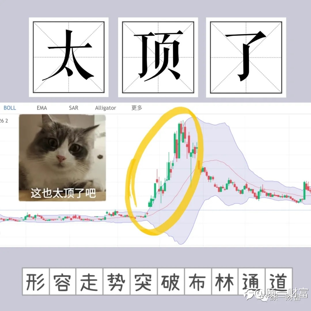 这也太顶了吧！