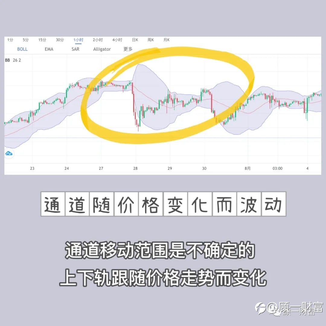这也太顶了吧！