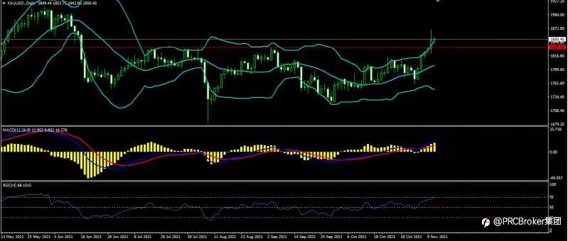 PRCBroker:20211111 今日汇评
