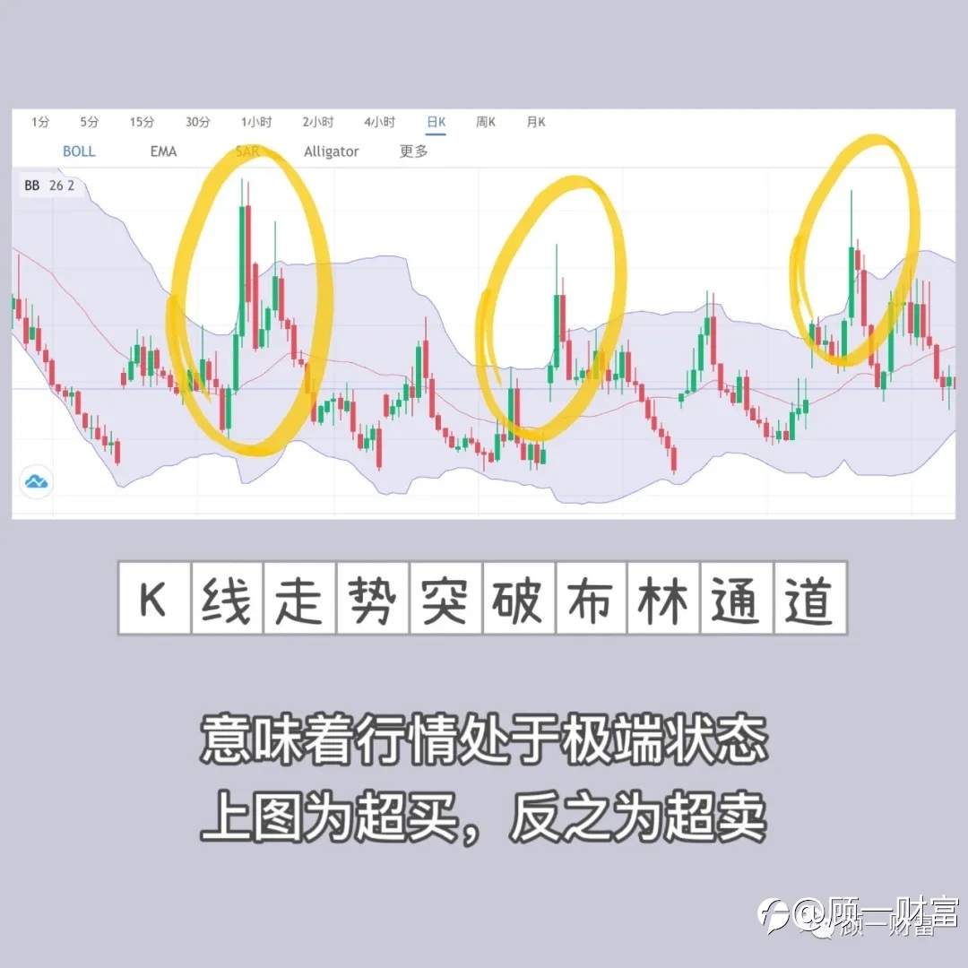这也太顶了吧！