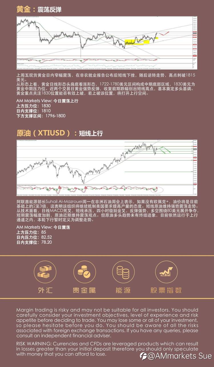 11.09AMMARKETS分析报告（非美低位反弹，黄金高位盘整）