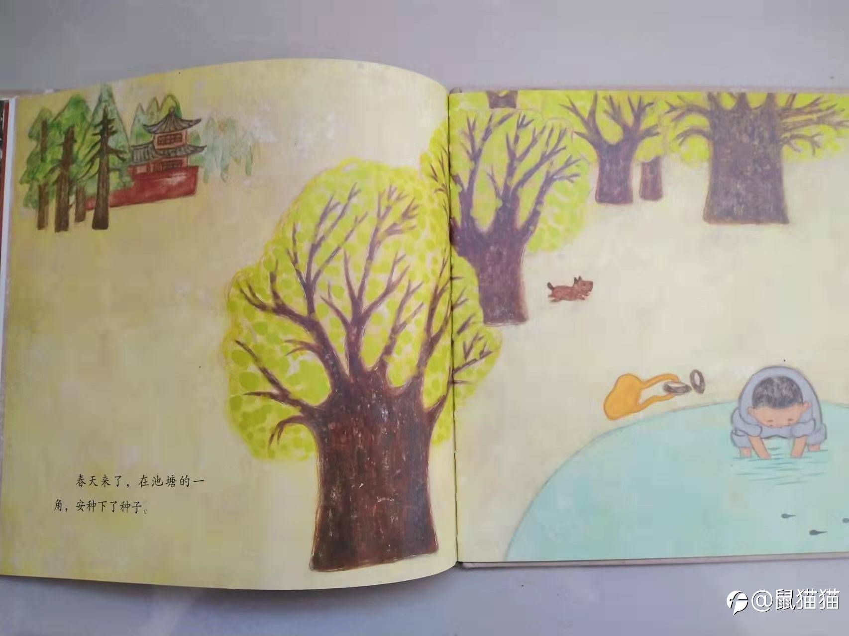 老鸟们，我们为什么一直没能起飞？