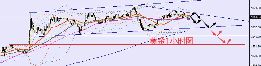 老黑策略：11.18晚盘外汇、黄金、原油分析策略