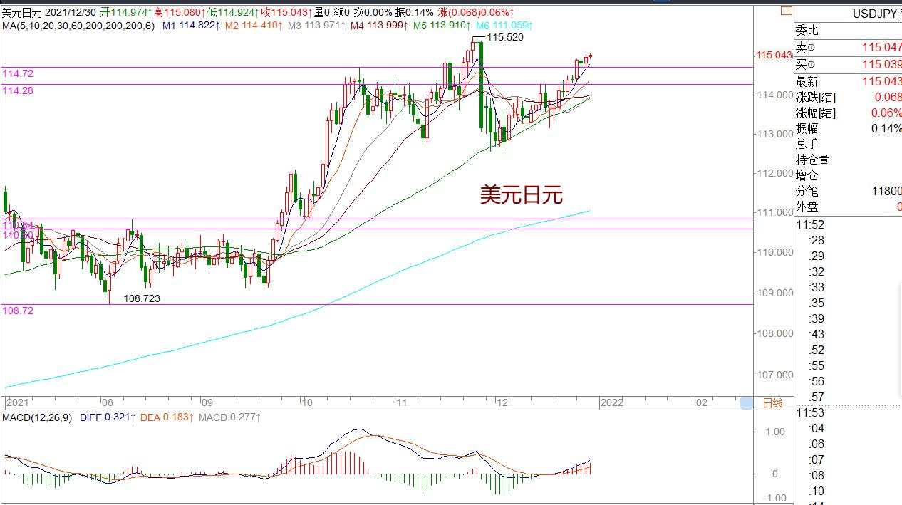 王萍：美日依然偏多运行 |2021年12月30日|每日汇评