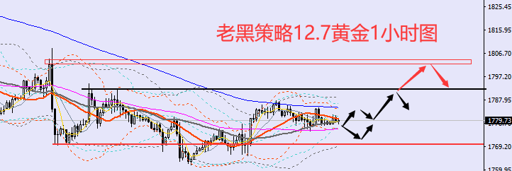 老黑策略：12.7黄金分析策略