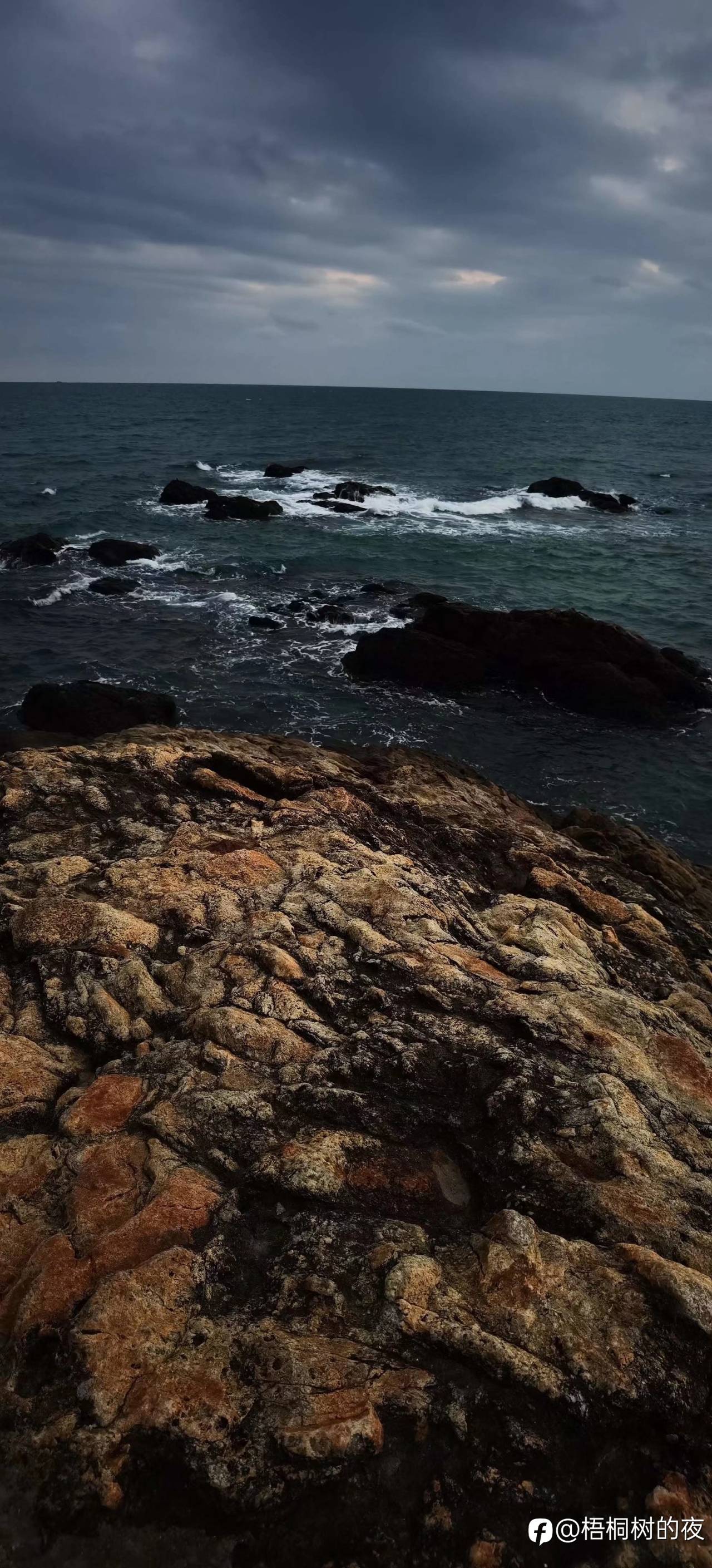 feed image