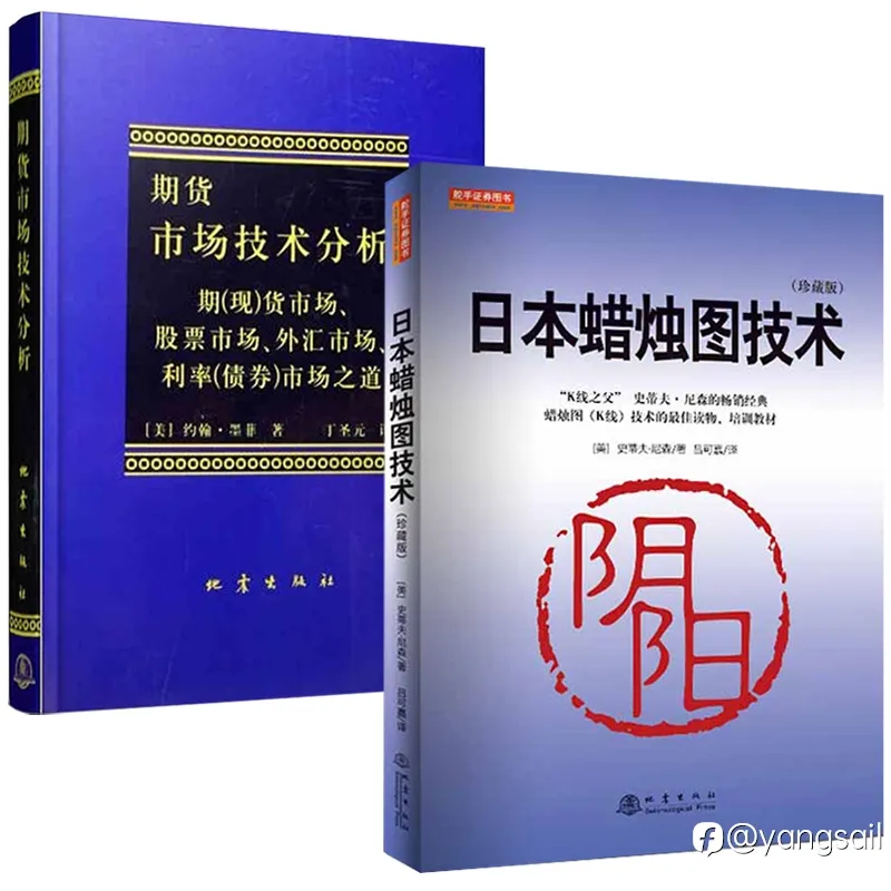 我的投资生涯（八）